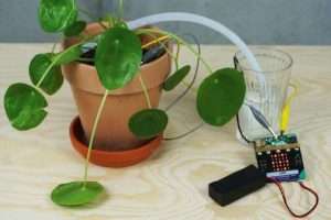 Pflanze mit einer Bewässerungsinstallation durch den micro:bit