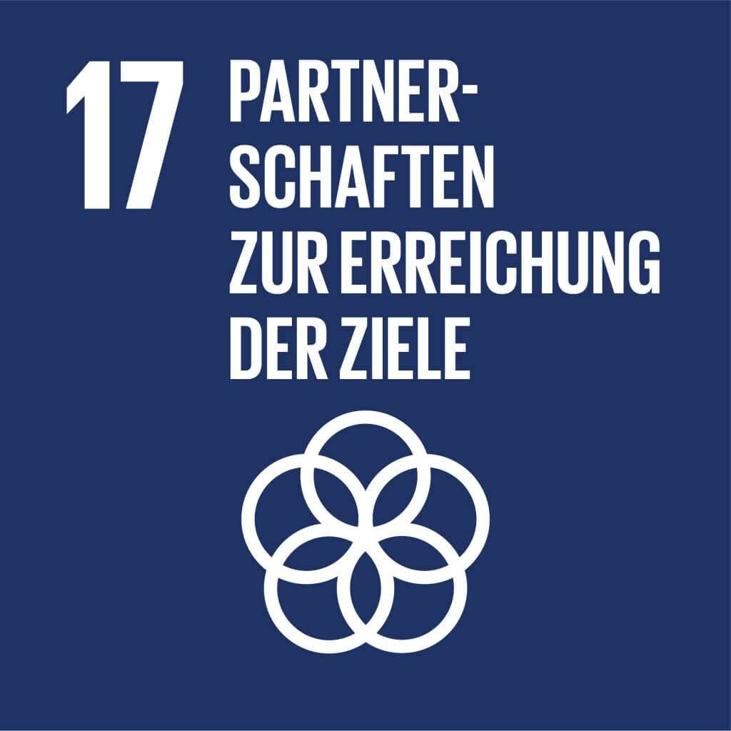 17. SDG: Partnerschaften zur Erreichung der Ziele