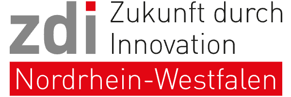 Logo ZDI