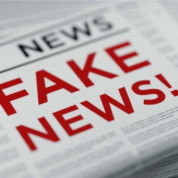 Fake News Bild 1