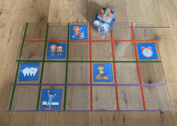 Bluebot Routine