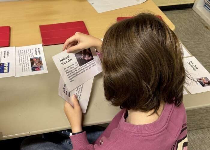 Challenges Fluch oder Segen - Digi:Schools Konzept