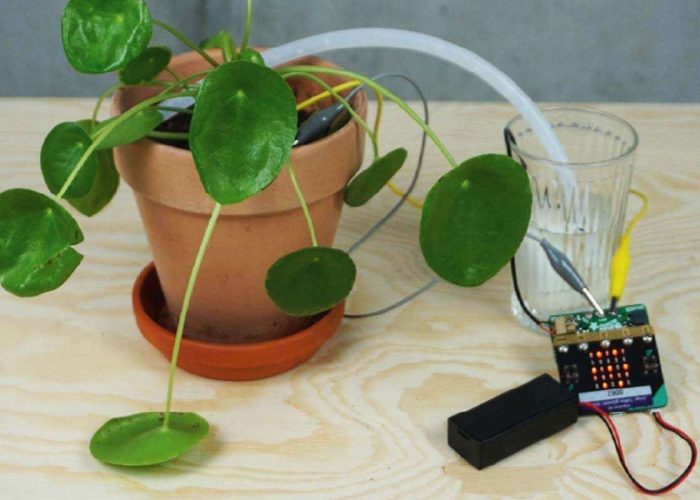 Pflanze mit einer Bewässerungsinstallation durch den micro:bit